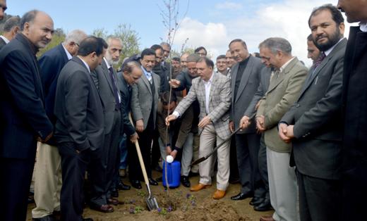 J&K Bank conducts plantation drive