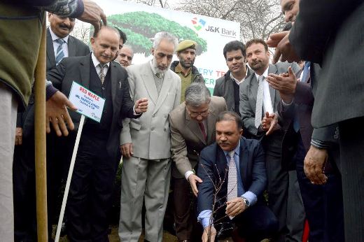 J&K Bank observes World Arbor  day across valley