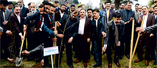 J&K Bank Celebrates World Arbour Day