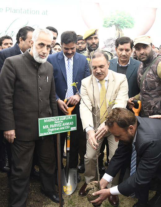 J&K Bank celebrates World Arbour Day, plants trees