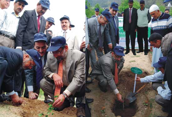 J&K Bank Plantation Drive : JK Bank preserves heritage, conserves…