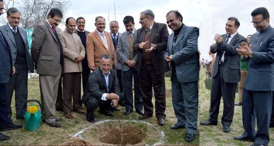 J&K Bank conducts plantation drive